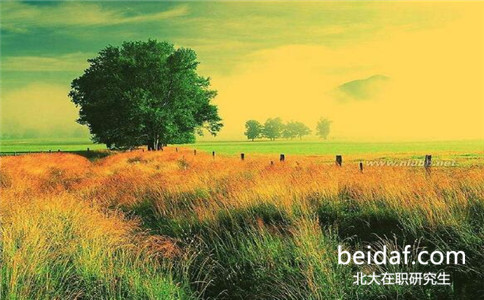 沒過英語(yǔ)四六級(jí)可以報(bào)考北京大學(xué)在職研究生嗎
